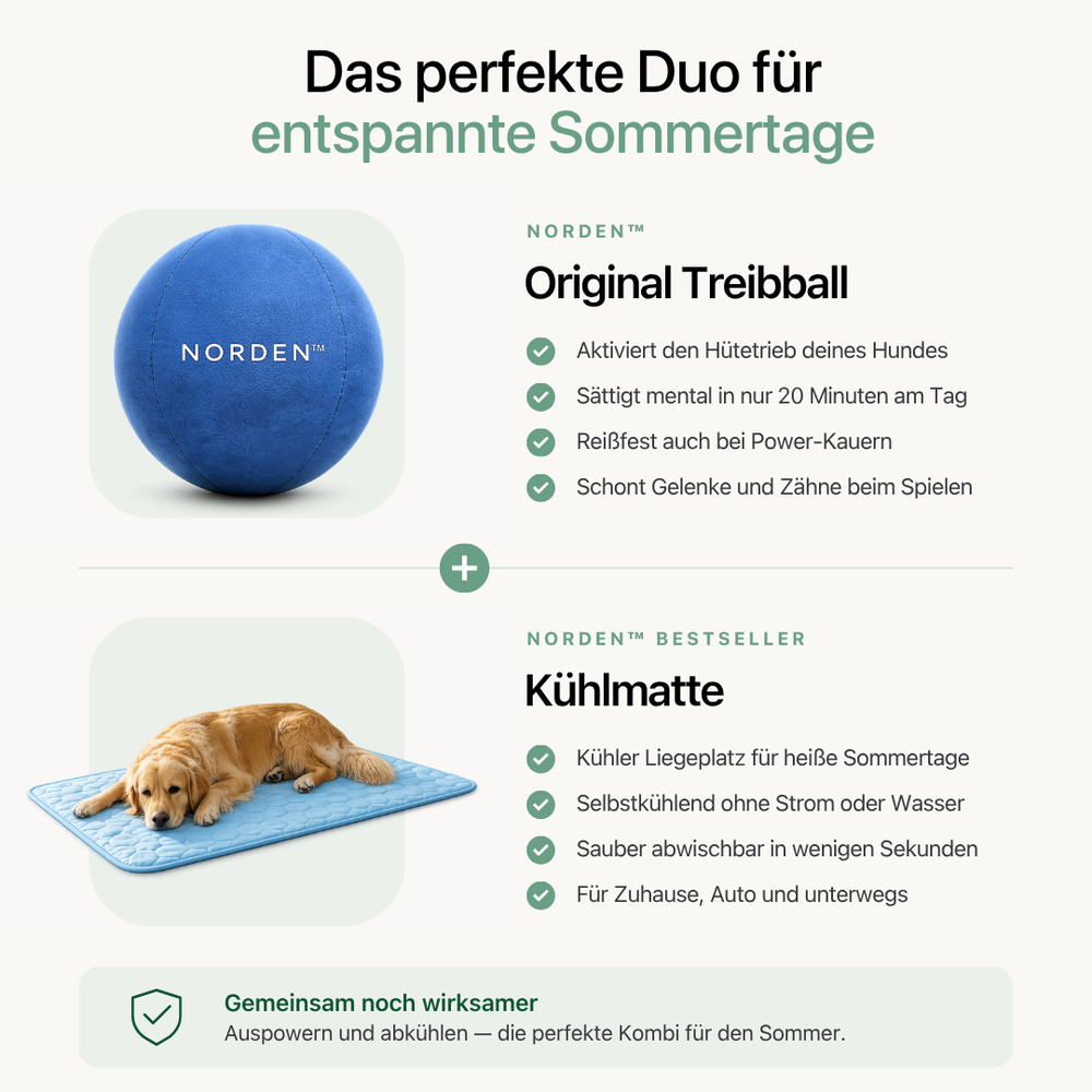 Treibball + Kühlendes Hundebett