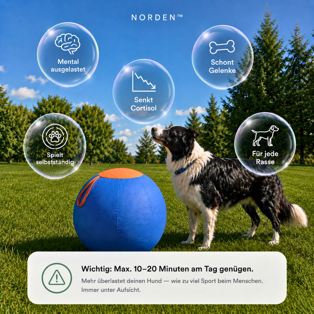 NORDEN™ — Original Treibball