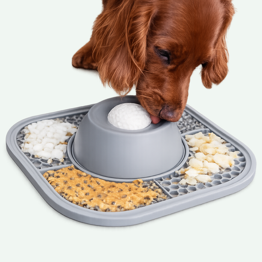 Schleckmatte & Ball