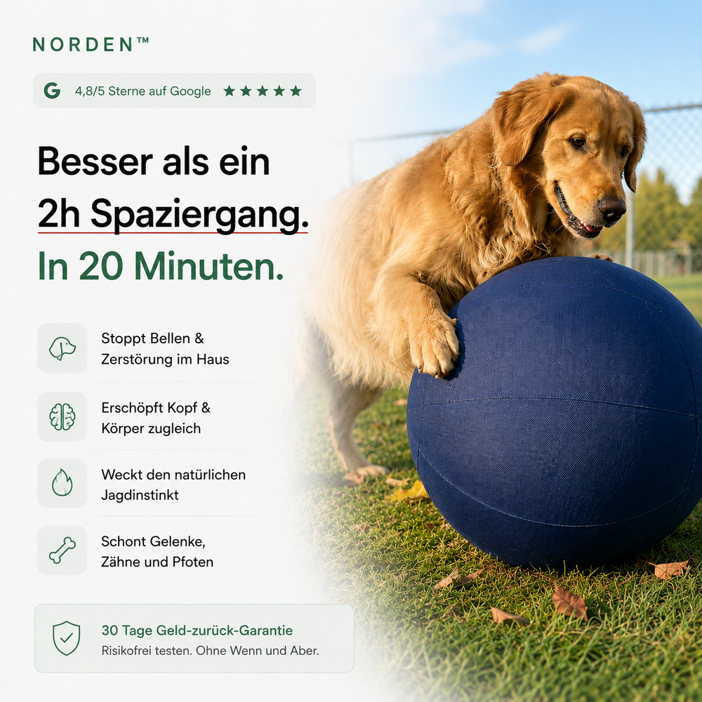 NORDEN™ — Original Treibball