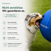 NORDEN™ — Original Treibball