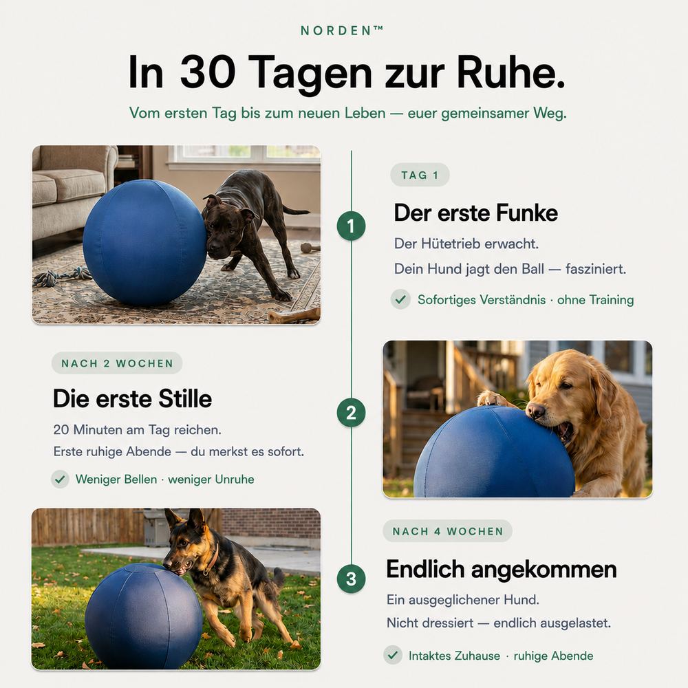 NORDEN™ — Original Treibball