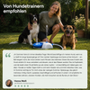 NORLA™ Pfotenbrunnen