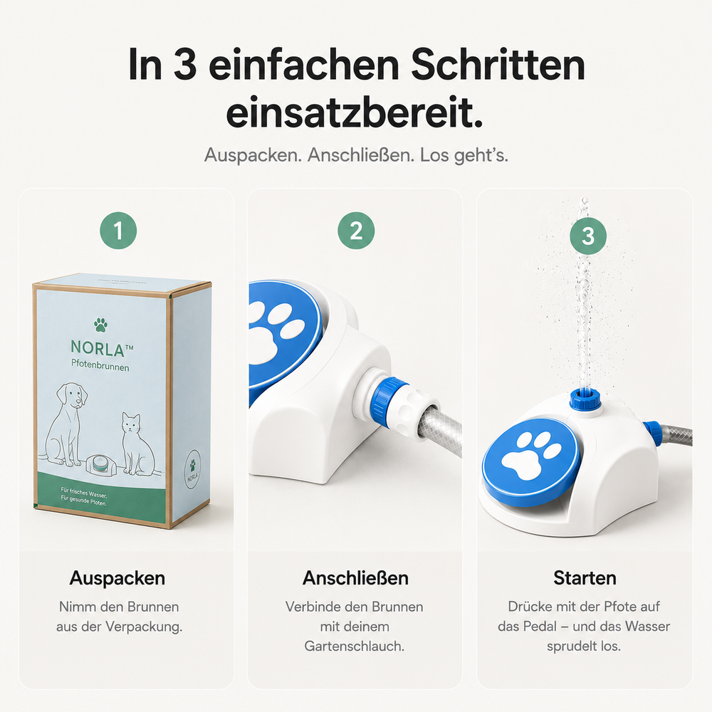 NORLA™ Pfotenbrunnen