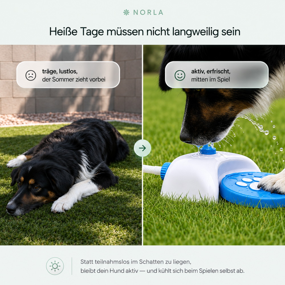 NORLA™ Pfotenbrunnen