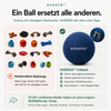 NORDEN™ — Original Treibball