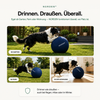 NORDEN™ — Original Treibball