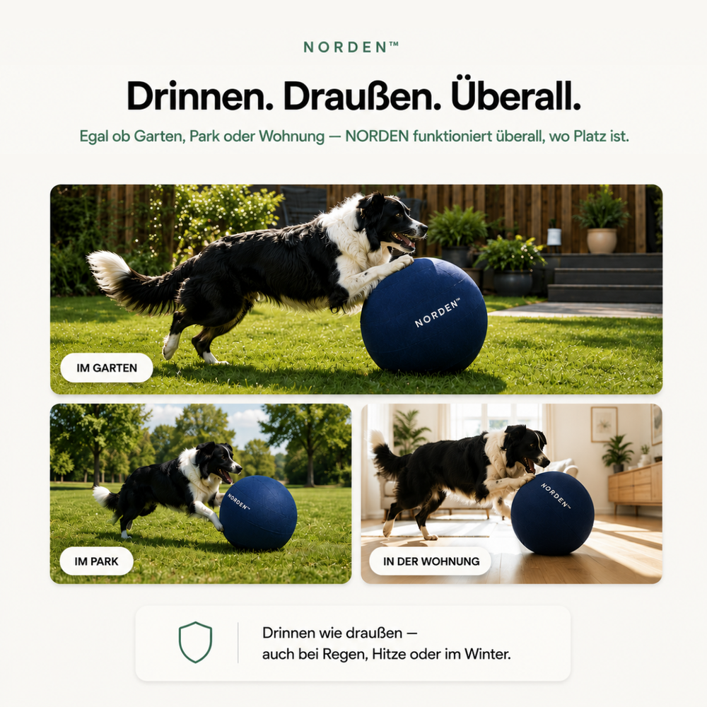 NORDEN™ — Original Treibball