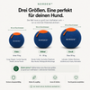 M | Hunde zwischen 15-30kg