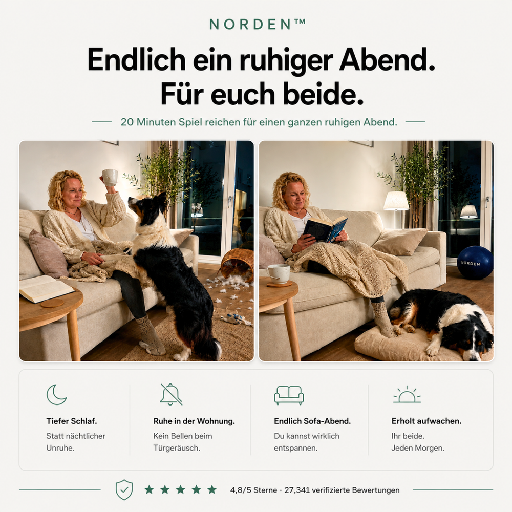NORDEN™ — Original Treibball